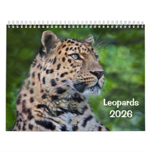 Calendario de leopardos