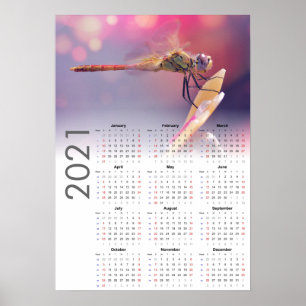 Calendario de libélula 2021 Póster - inicio el dom