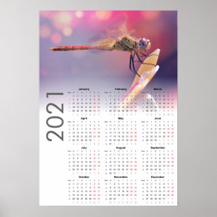 Calendario de libélula 2021 Póster - inicio el lun