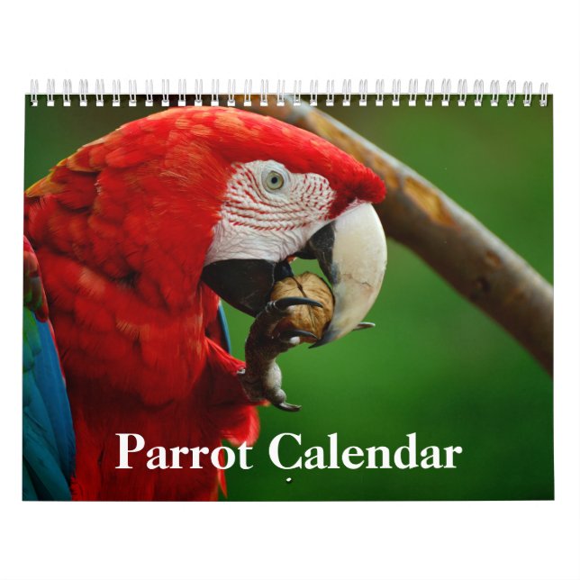 Calendario de loros 2020 (Tapa)
