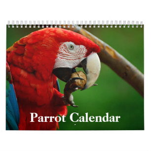 Calendario de loros 2020