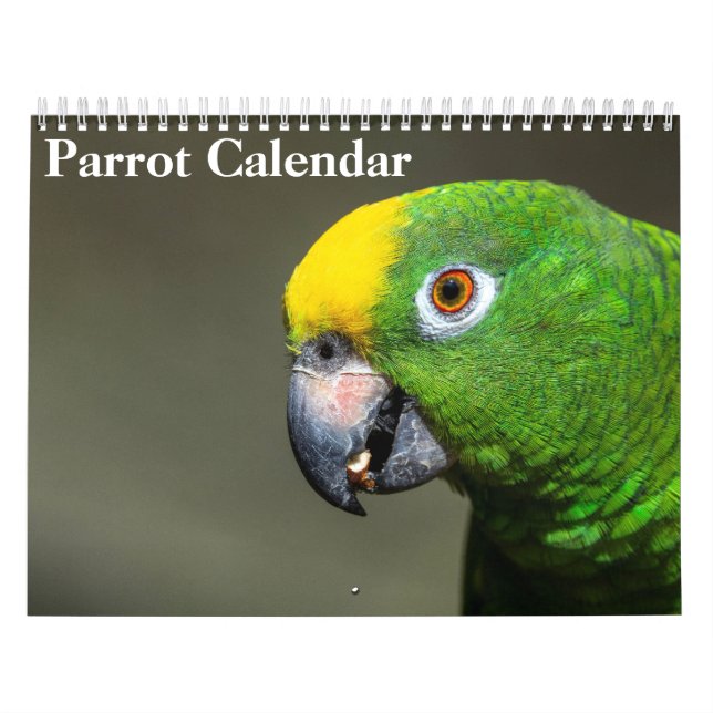 Calendario de Loros 2026 (Tapa)
