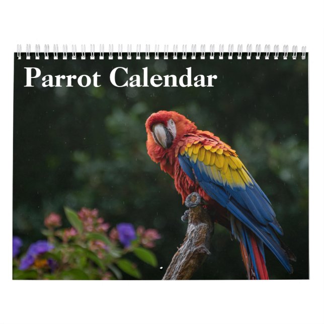 Calendario de Loros 2027 (Tapa)