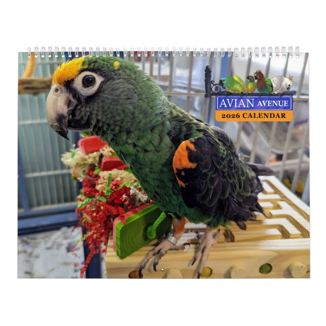 Calendario de Loros Avian Avenue 2026 (Tapa)