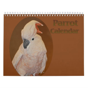 Calendario de loros coloridos