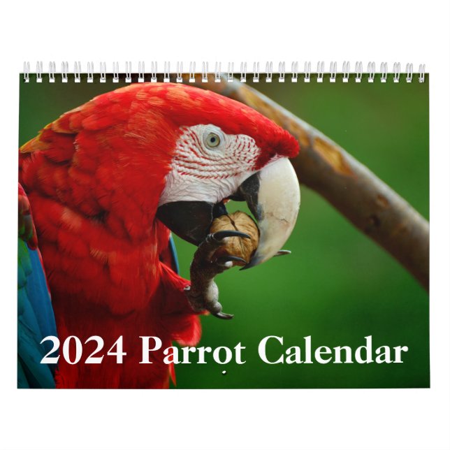 Calendario de loros de 2024 (Tapa)