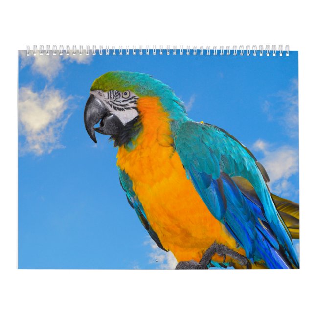 Calendario de loros mixtos (Tapa)