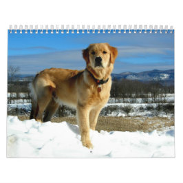 Calendario de los amantes del golden retriever