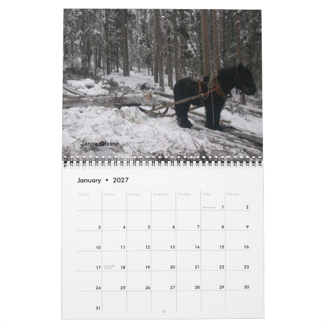 Calendario de los amigos del caballo de proyecto (Jan 2027)