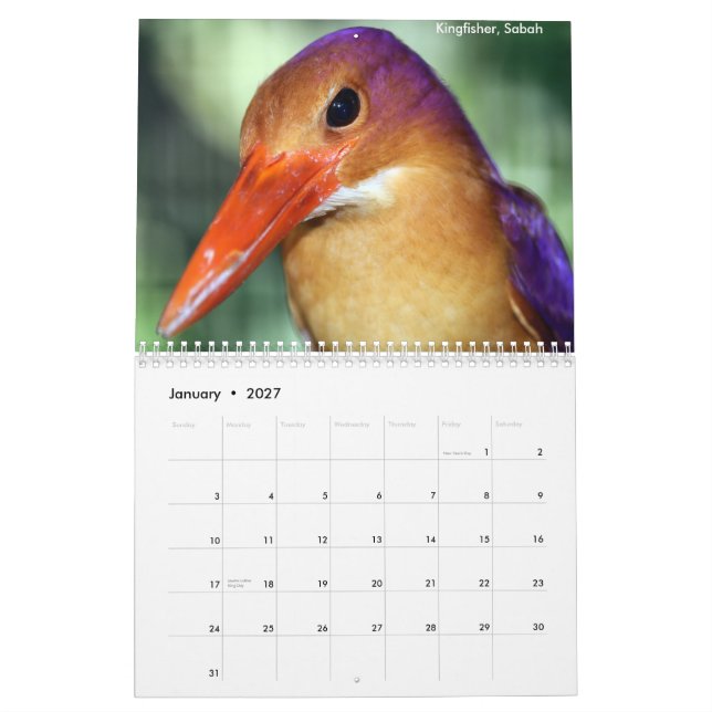 Calendario de los animales de la selva tropical de (Jan 2027)