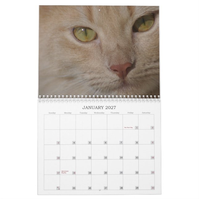 Calendario de los animales del rescate (Jan 2027)