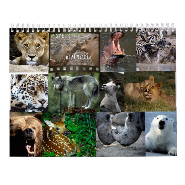 CALENDARIO DE LOS ANIMALES SALVAJES (Reverso)