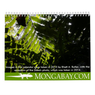 Calendario de los árboles de la selva tropical