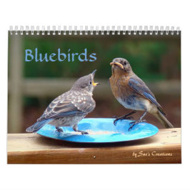 Calendario de los Bluebirds