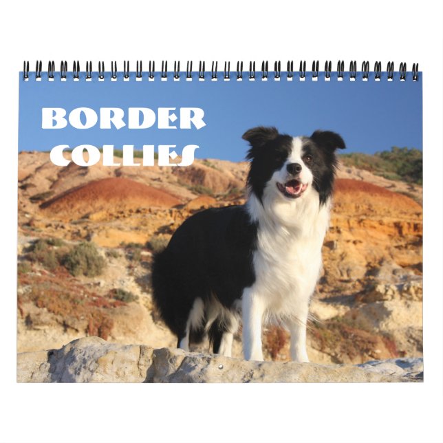 Calendario de los borderes collies (Tapa)