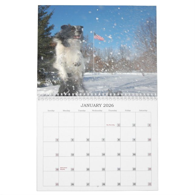 Calendario de los borderes collies 2012 de (Jan 2026)