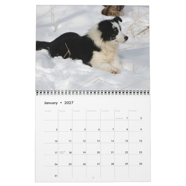 Calendario de los borderes collies 2012 de (Jan 2027)