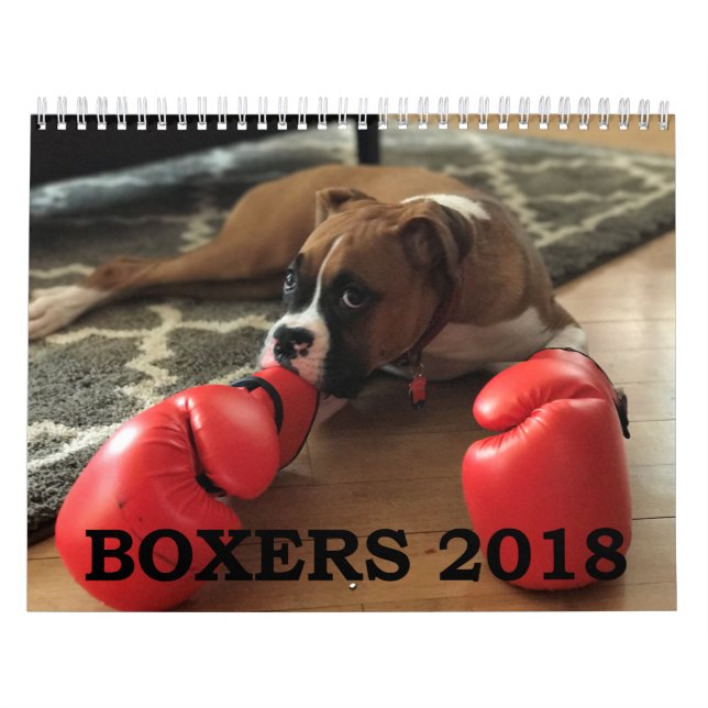 CALENDARIO DE LOS BOXEADORES 2018 (Tapa)
