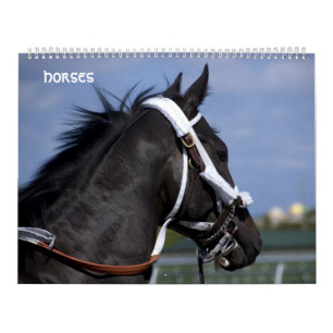 calendario de los caballos