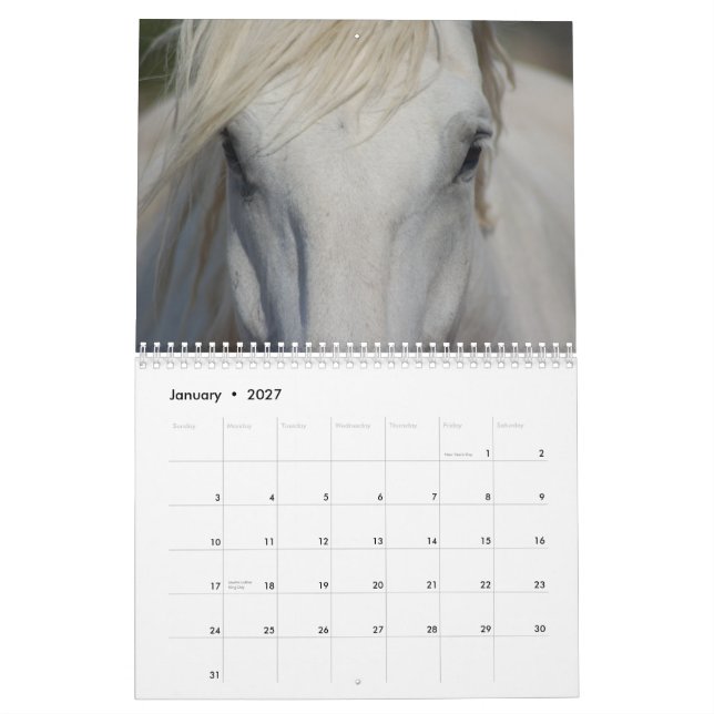 Calendario de los caballos de proyecto #1 (Jan 2027)