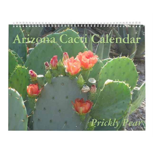 Calendario de los cactus de Arizona (Tapa)
