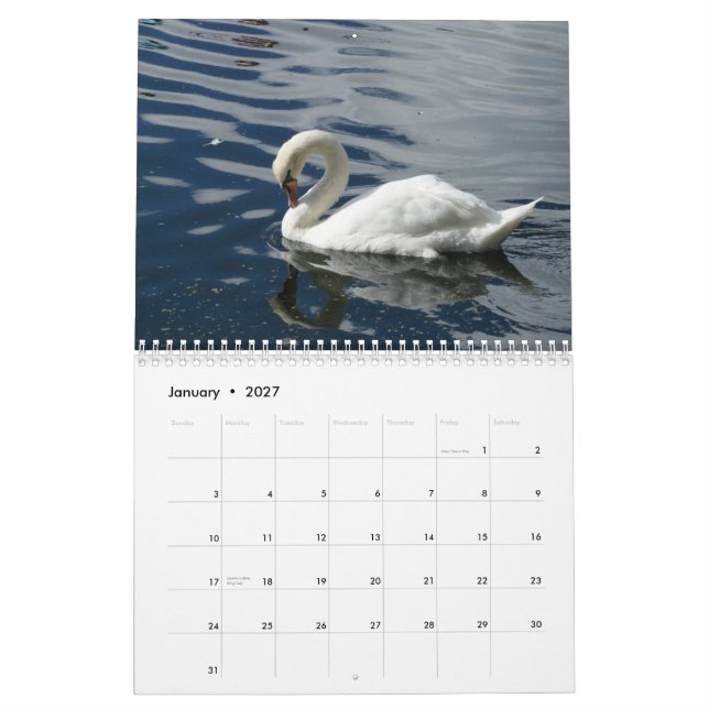 Calendario de los cisnes 2012 (Jan 2027)