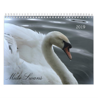Calendario de los cisnes y de los pollos del cisne