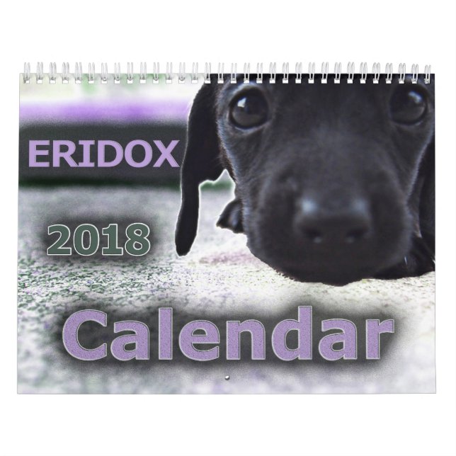 Calendario de los Dachshunds 2018 de Eridox (Tapa)