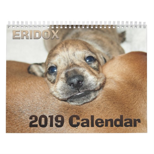 Calendario de los Dachshunds 2019 de Eridox (Tapa)