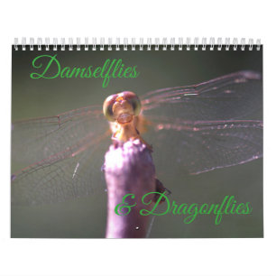Calendario de los Damselflies y de las libélulas