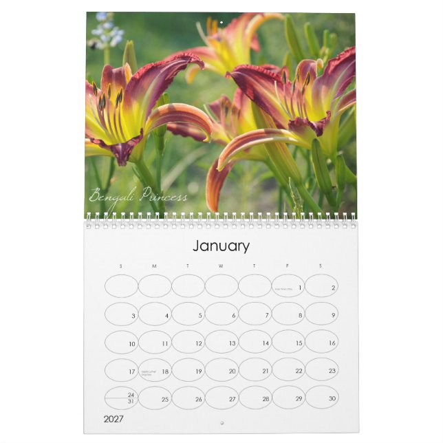 Calendario de los Daylilies 2011 (Jan 2027)