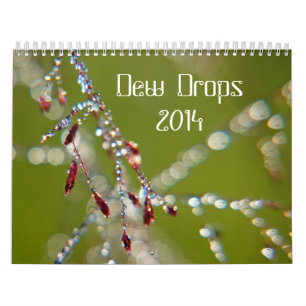 Calendario de los descensos de rocío 2014