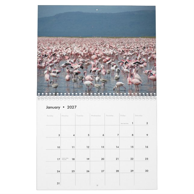 Calendario de los flamencos (Jan 2027)