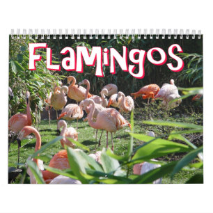 Calendario de los flamencos