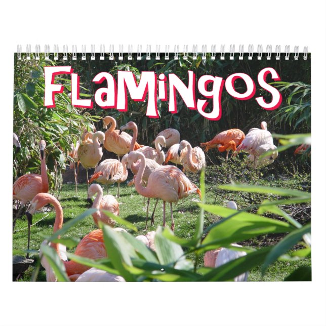Calendario de los flamencos (Tapa)