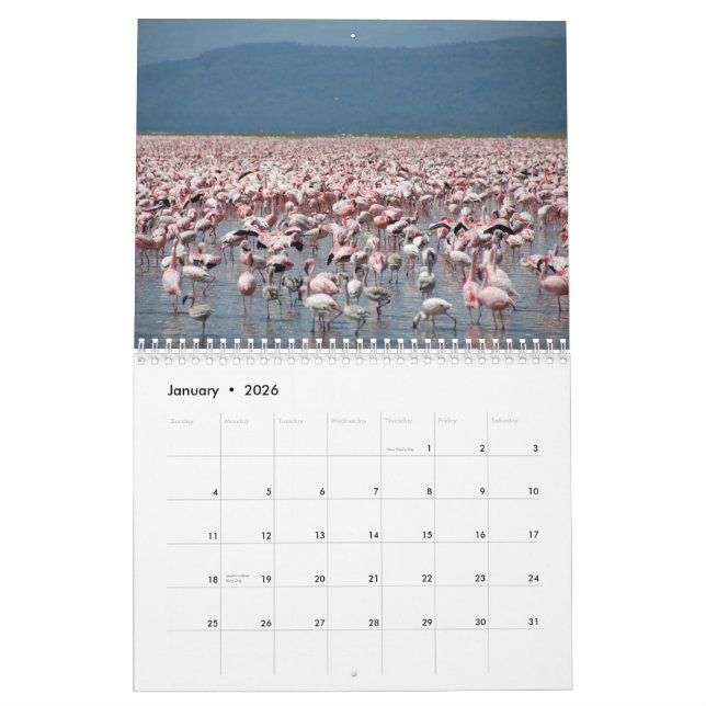 Calendario de los flamencos (Jan 2026)