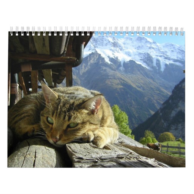 Calendario de los gatos (Tapa)