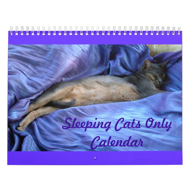 Calendario de los gatos (Tapa)