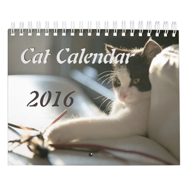 Calendario de los gatos (Tapa)