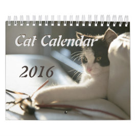Calendario de los gatos