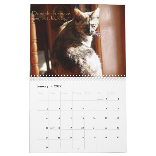 Calendario de los gatos 2008 de LOL (Jan 2027)