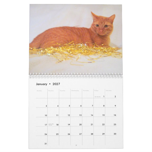 Calendario de los gatos 2011 (Jan 2027)