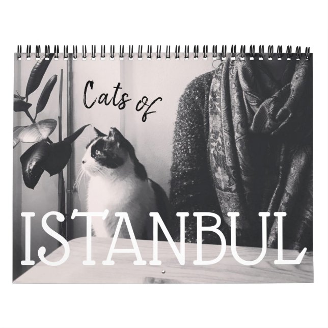 Calendario de los gatos de ESTAMBUL (Tapa)