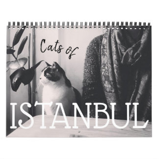 Calendario de los gatos de ESTAMBUL