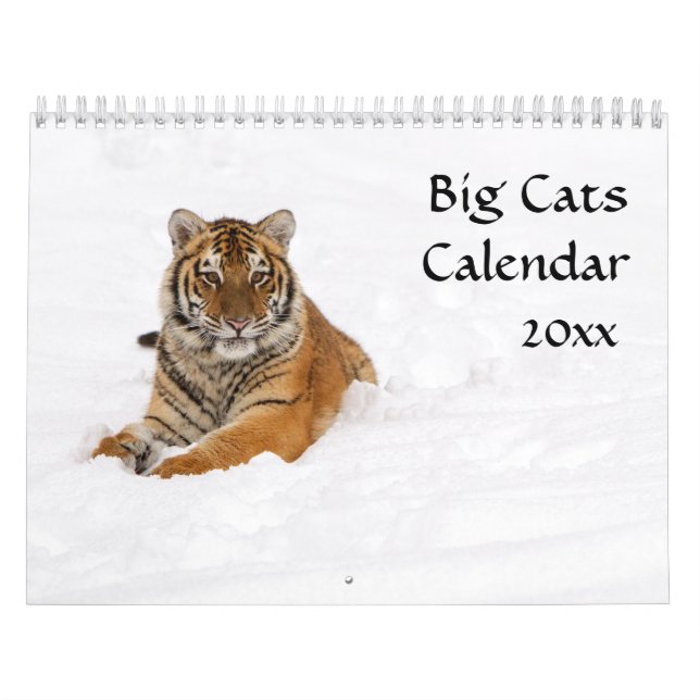 Calendario de los gatos grandes (Tapa)