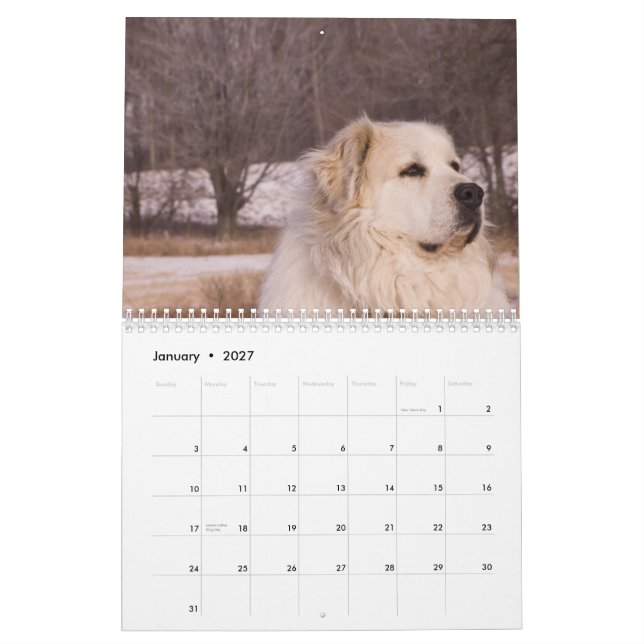 Calendario de los grandes Pirineos (Jan 2027)