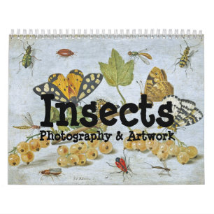 Calendario de los insectos