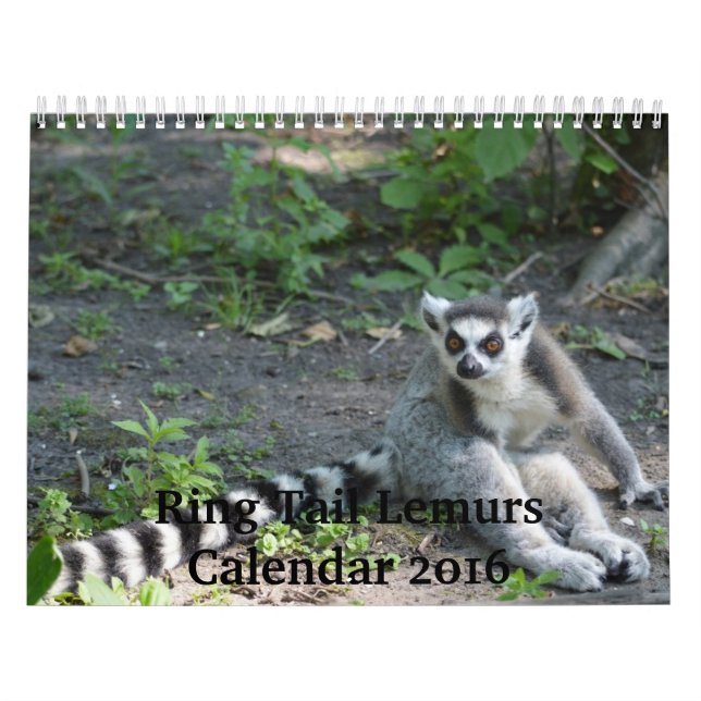 Calendario de los Lemurs 2016 de la cola del (Tapa)