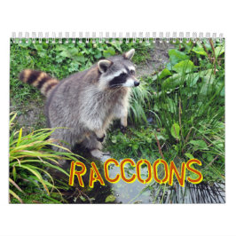 Calendario de los mapaches