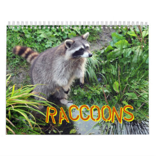 Calendario de los mapaches